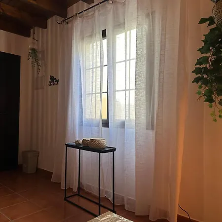 Daire Cozy Canarian With Large Garden *