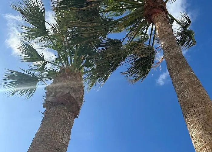 公寓 Cozy Canarian With Large Garden