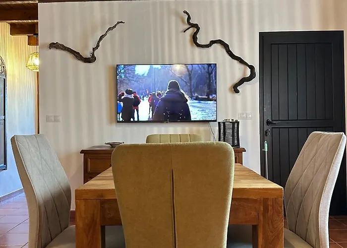 公寓 Cozy Canarian With Large Garden 特吉塞