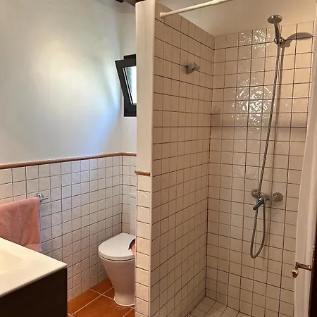 Cozy Canarian With Large Garden