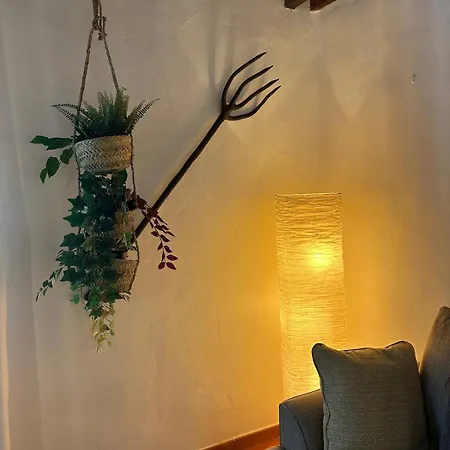 Cozy Canarian With Large Garden Daire