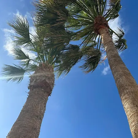 Daire Cozy Canarian With Large Garden