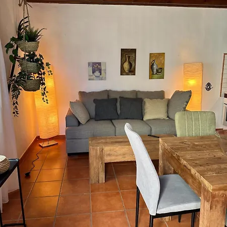 Cozy Canarian With Large Garden شقة تيغيسي