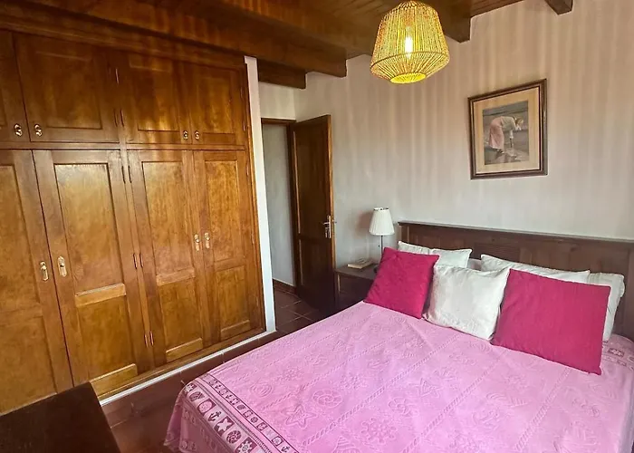 Apartamento Cozy Canarian With Large Garden *