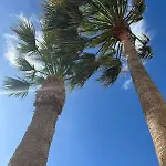 Appartement Cozy Canarian With Large Garden
