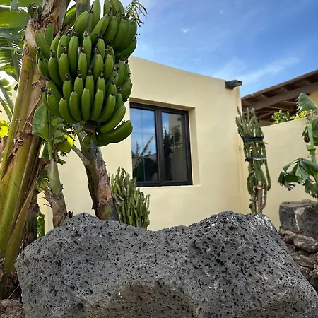 Daire Cozy Canarian With Large Garden Teguise (Lanzarote)