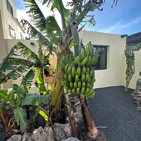 Apartment Cozy Canarian With Large Garden Teguise (Lanzarote)