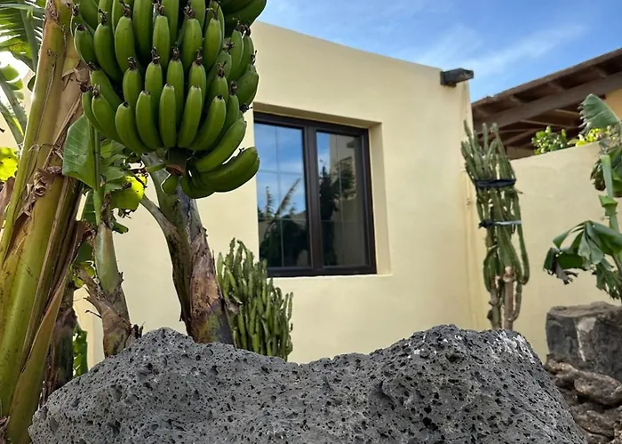 Apartment Cozy Canarian With Large Garden Teguise (Lanzarote)