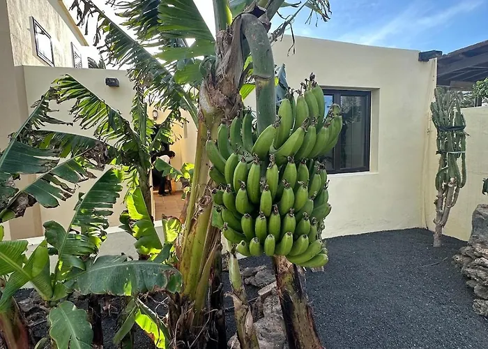 Apartment Cozy Canarian With Large Garden Teguise (Lanzarote)